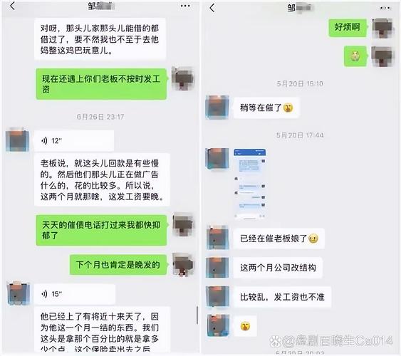 经营范围多元化 技术服务、软件开发与信贷咨询服务的合规发展路径